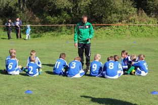 开云体育移动版-中国足球年度战术视频分析内容频次统计，中国足球战术风格